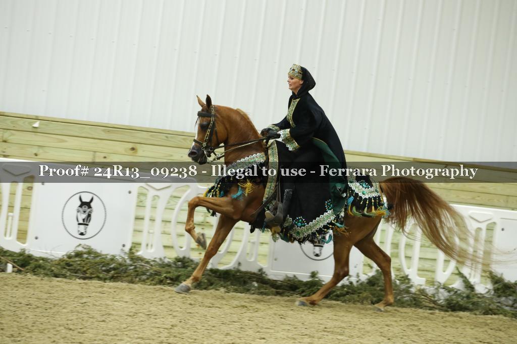 Proof 24R13_09238