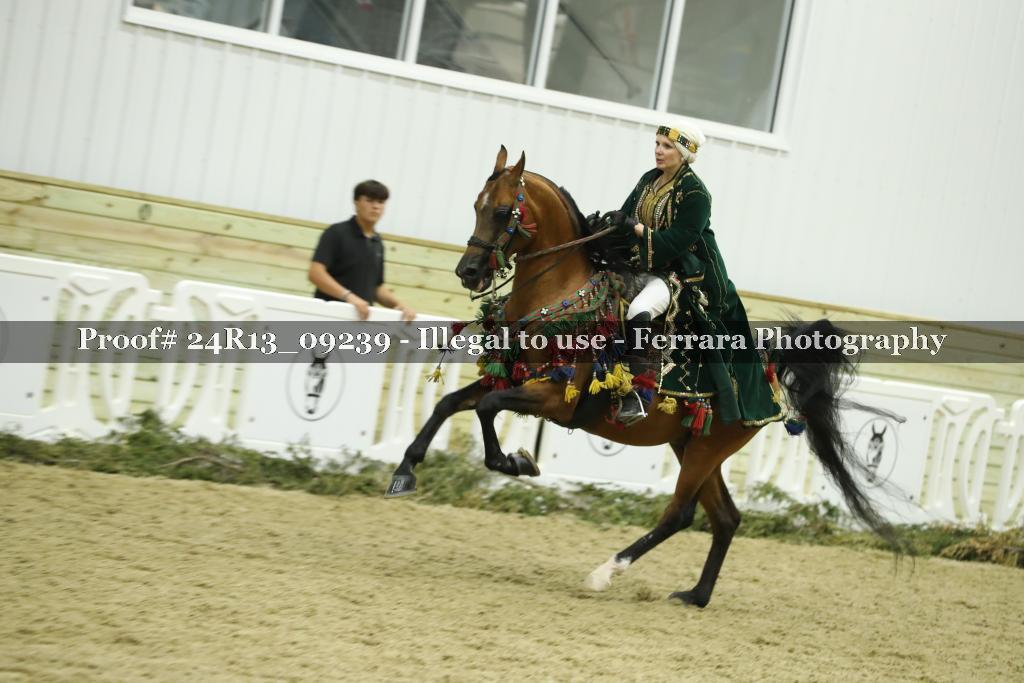 Proof 24R13_09239