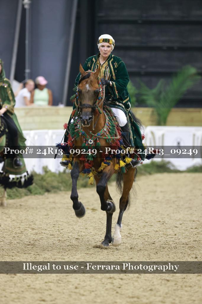 Proof 24R13_09249