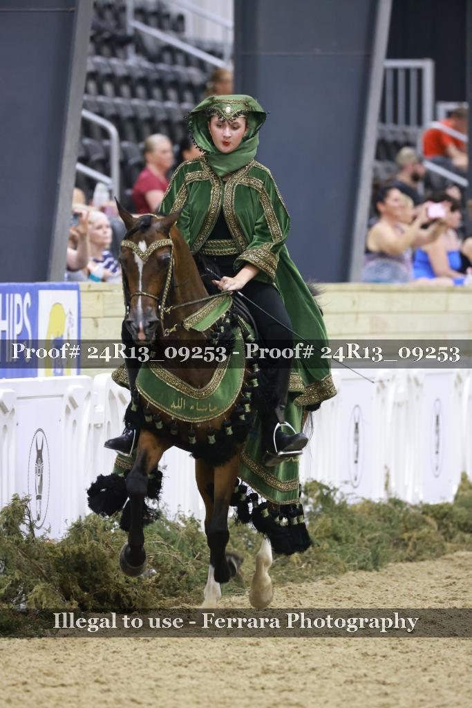 Proof 24R13_09253