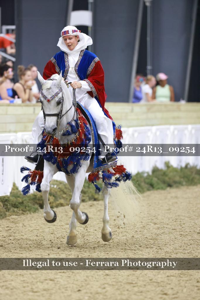 Proof 24R13_09254