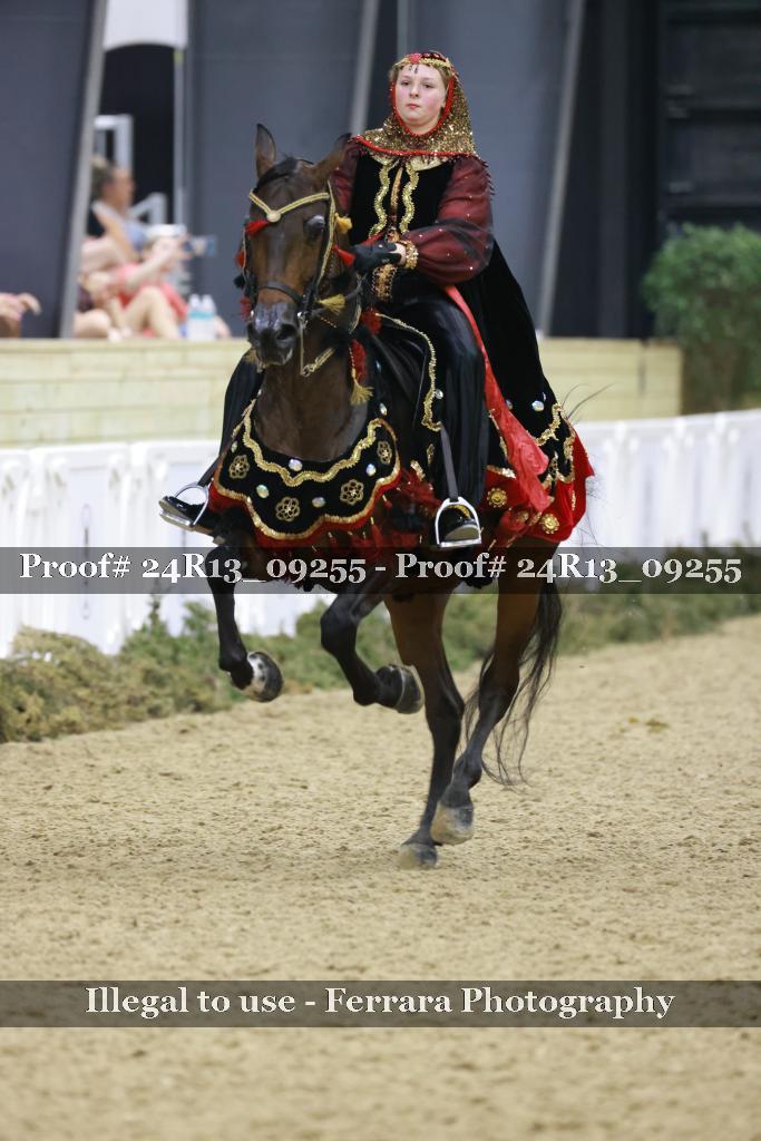 Proof 24R13_09255