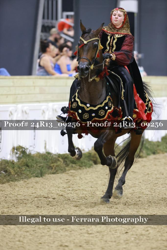 Proof 24R13_09256