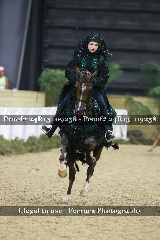 Proof 24R13_09258