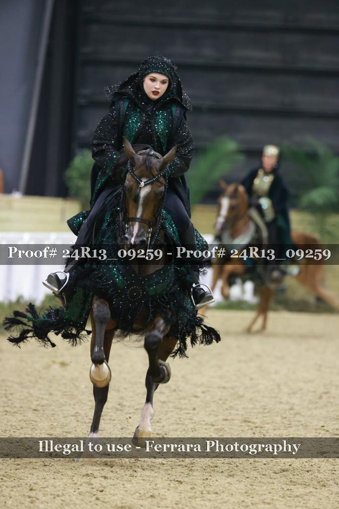 Proof 24R13_09259