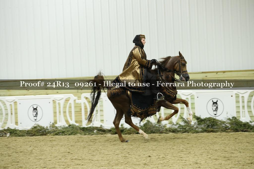 Proof 24R13_09261