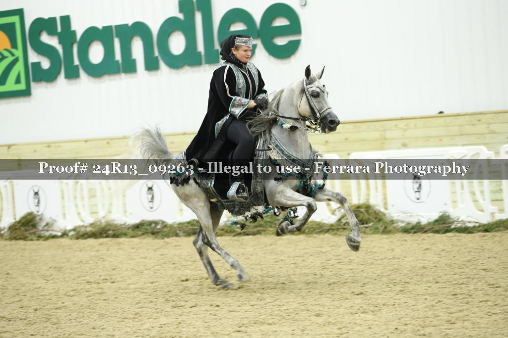 Proof 24R13_09263