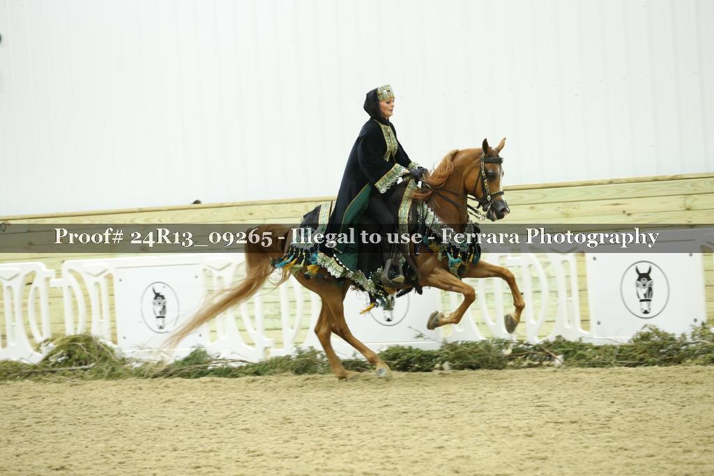 Proof 24R13_09265
