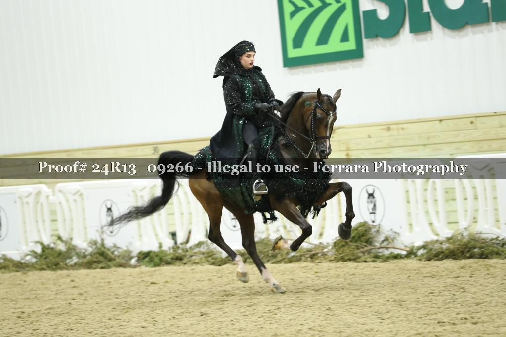 Proof 24R13_09266