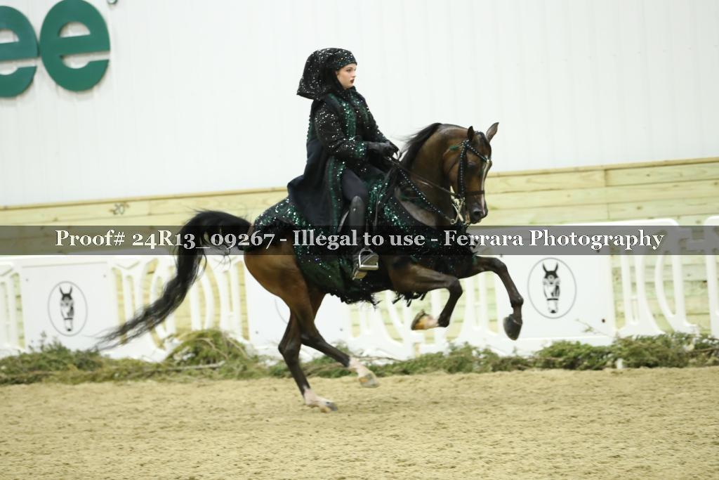 Proof 24R13_09267