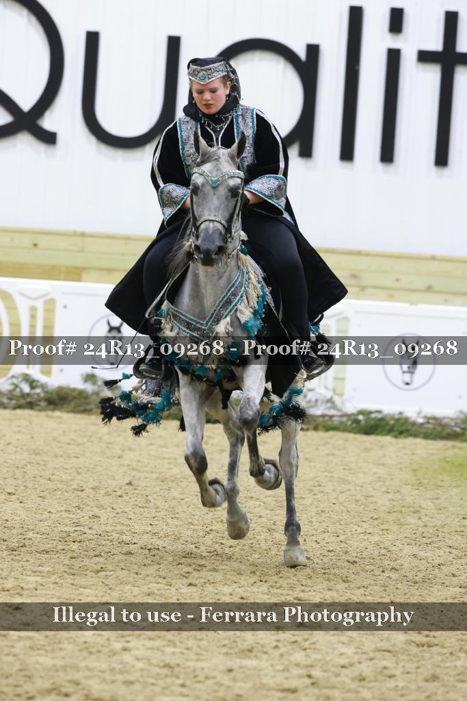 Proof 24R13_09268