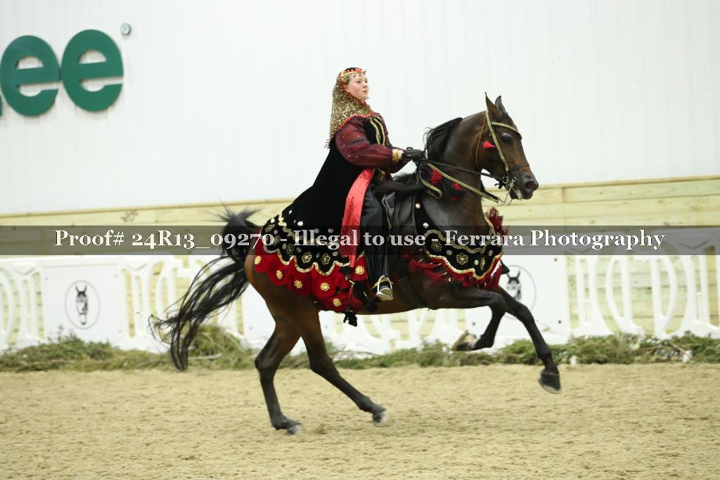 Proof 24R13_09270