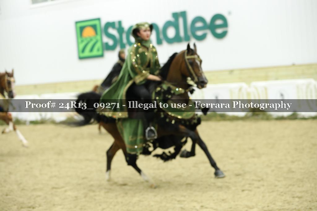 Proof 24R13_09271