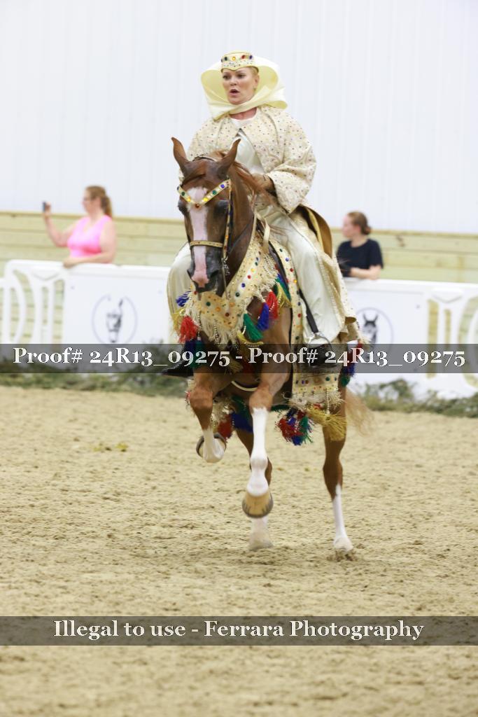 Proof 24R13_09275