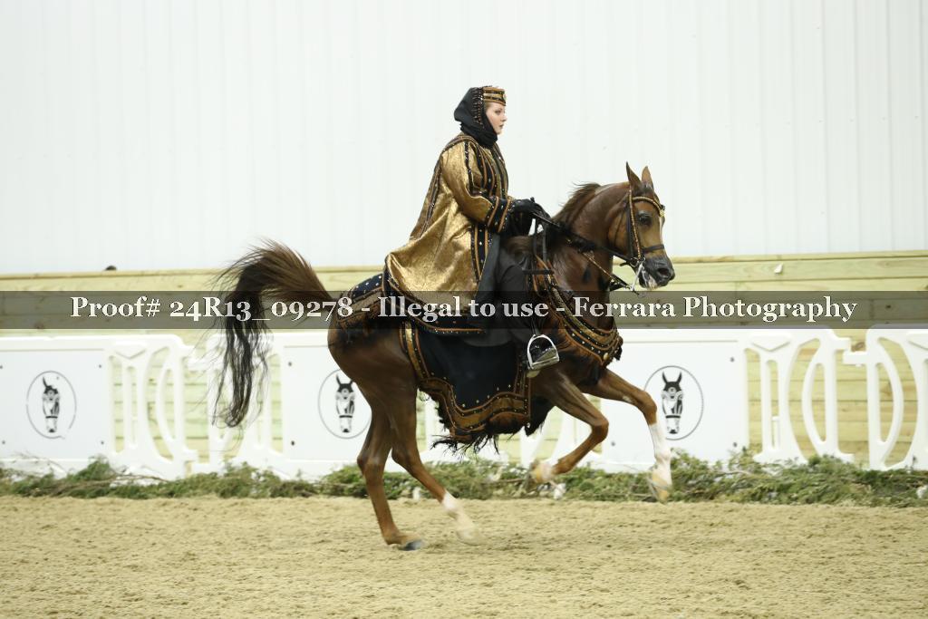 Proof 24R13_09278
