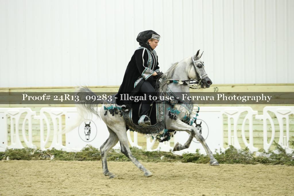 Proof 24R13_09283