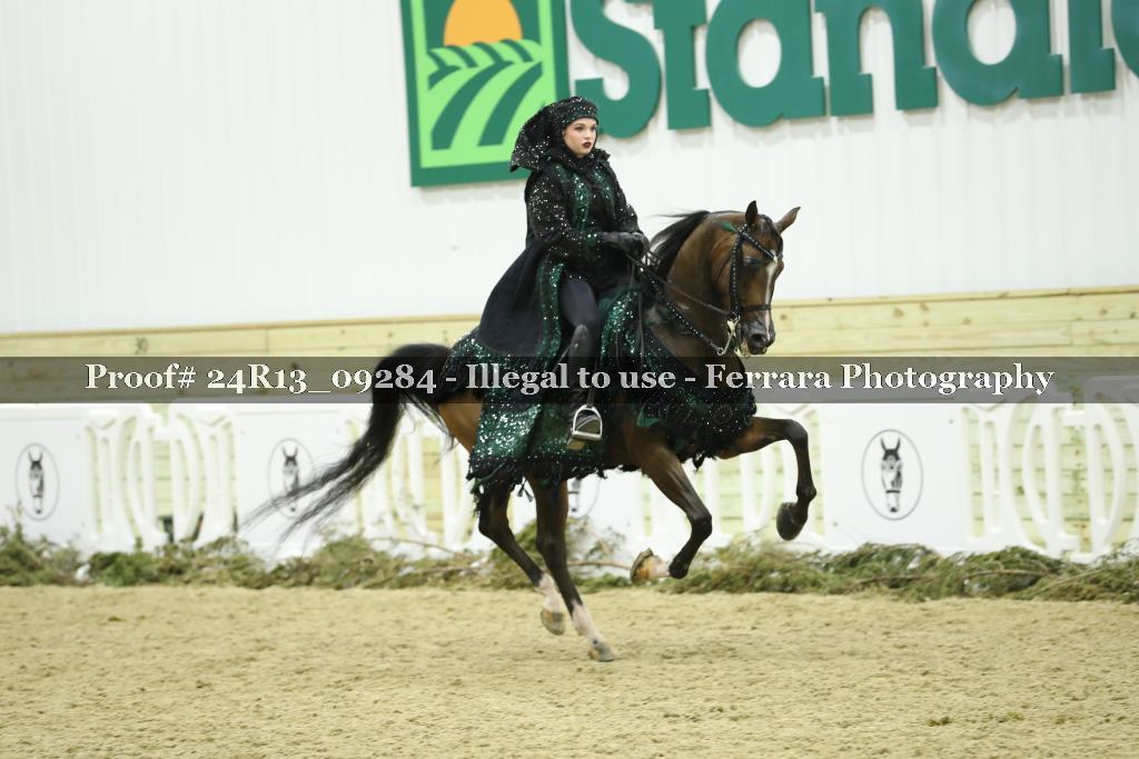 Proof 24R13_09284