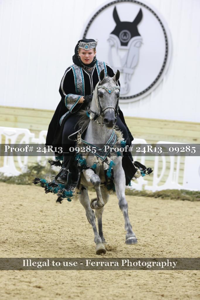 Proof 24R13_09285