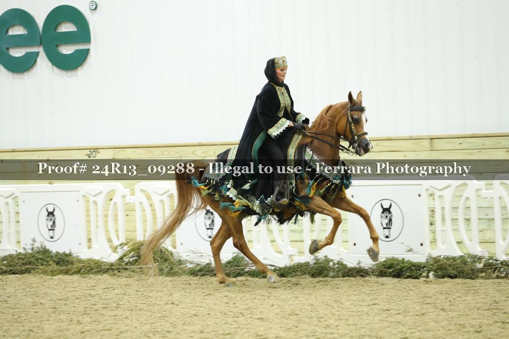 Proof 24R13_09288