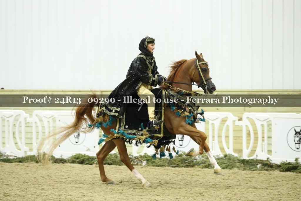 Proof 24R13_09290