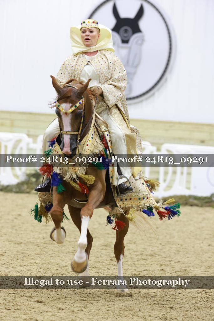 Proof 24R13_09291