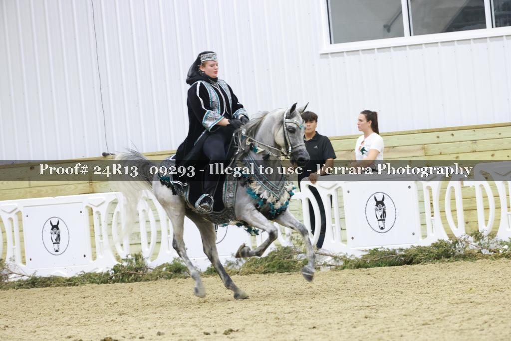Proof 24R13_09293