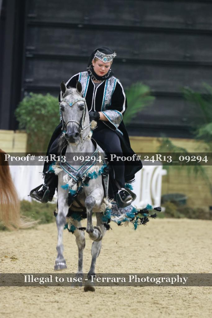 Proof 24R13_09294