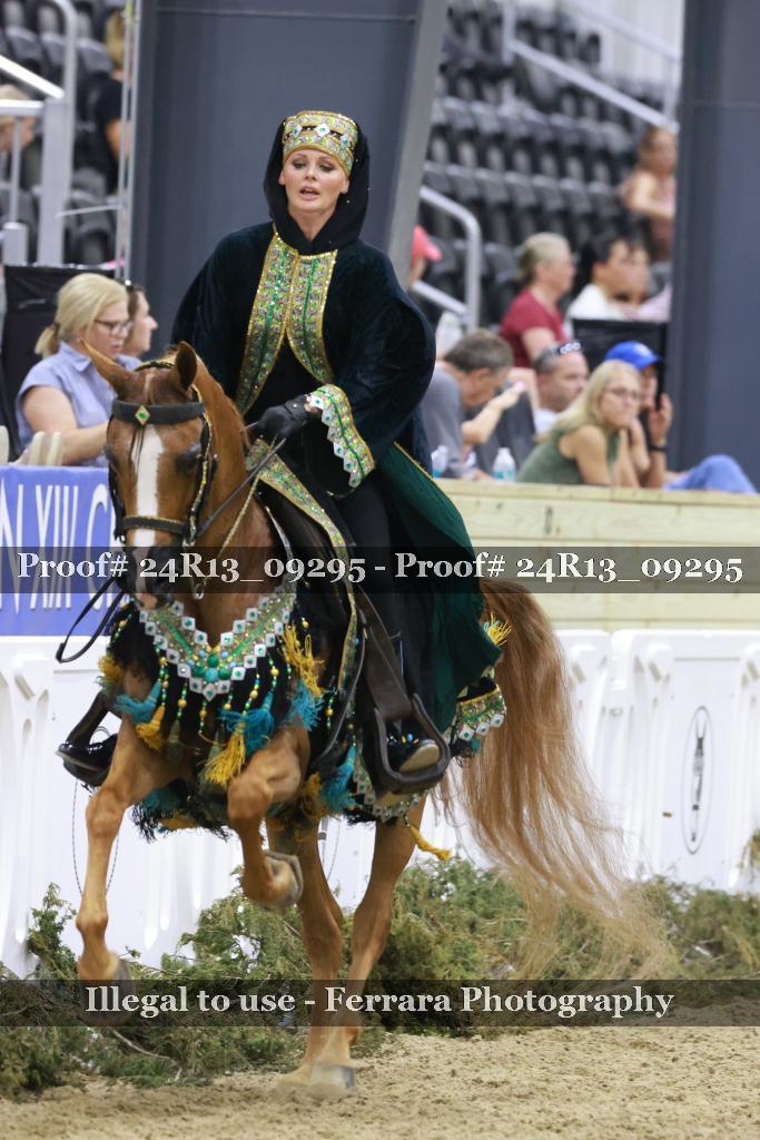 Proof 24R13_09295