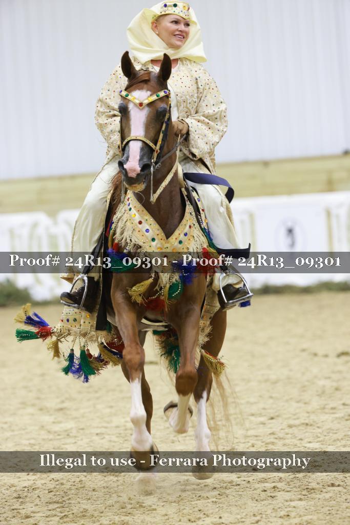 Proof 24R13_09301