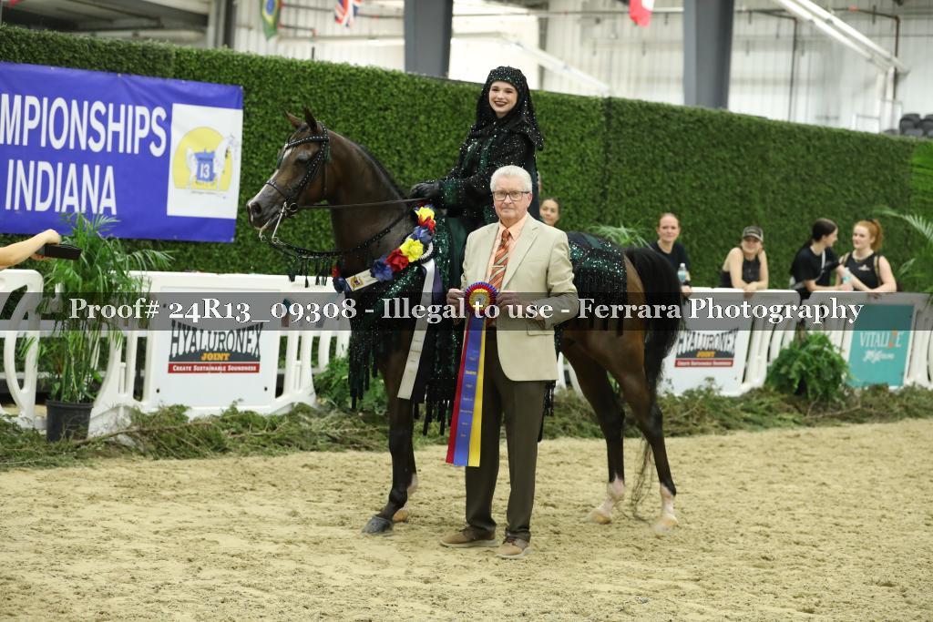 Proof 24R13_09308