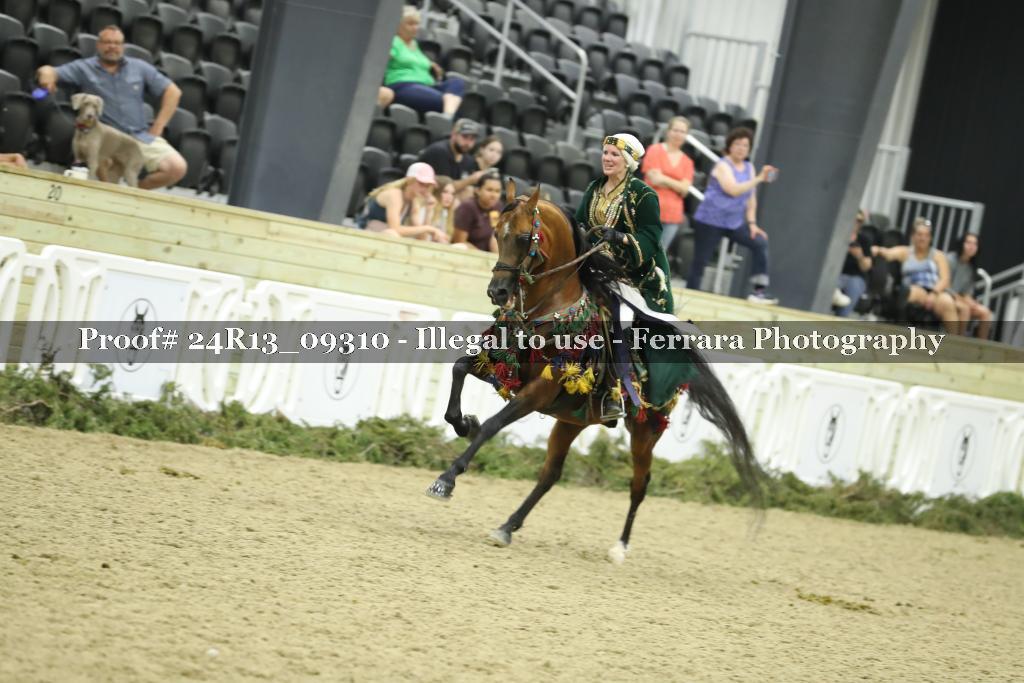 Proof 24R13_09310