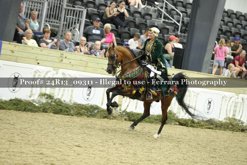 Proof 24R13_09311