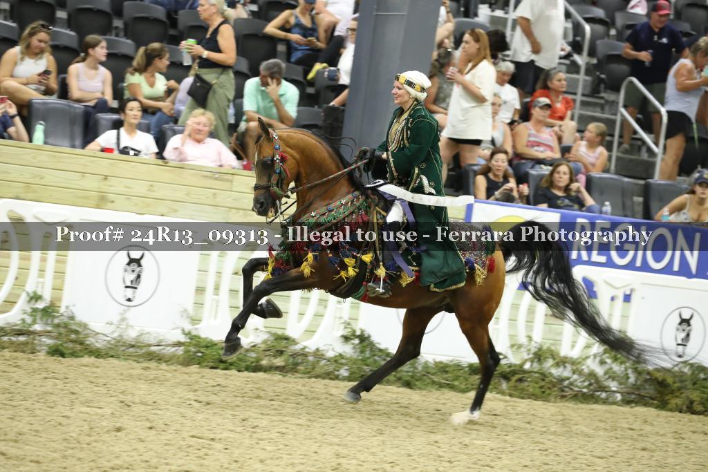 Proof 24R13_09313