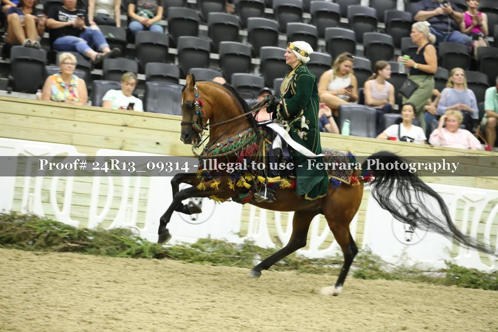 Proof 24R13_09314