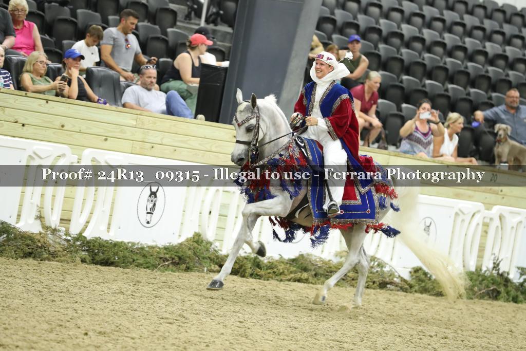 Proof 24R13_09315