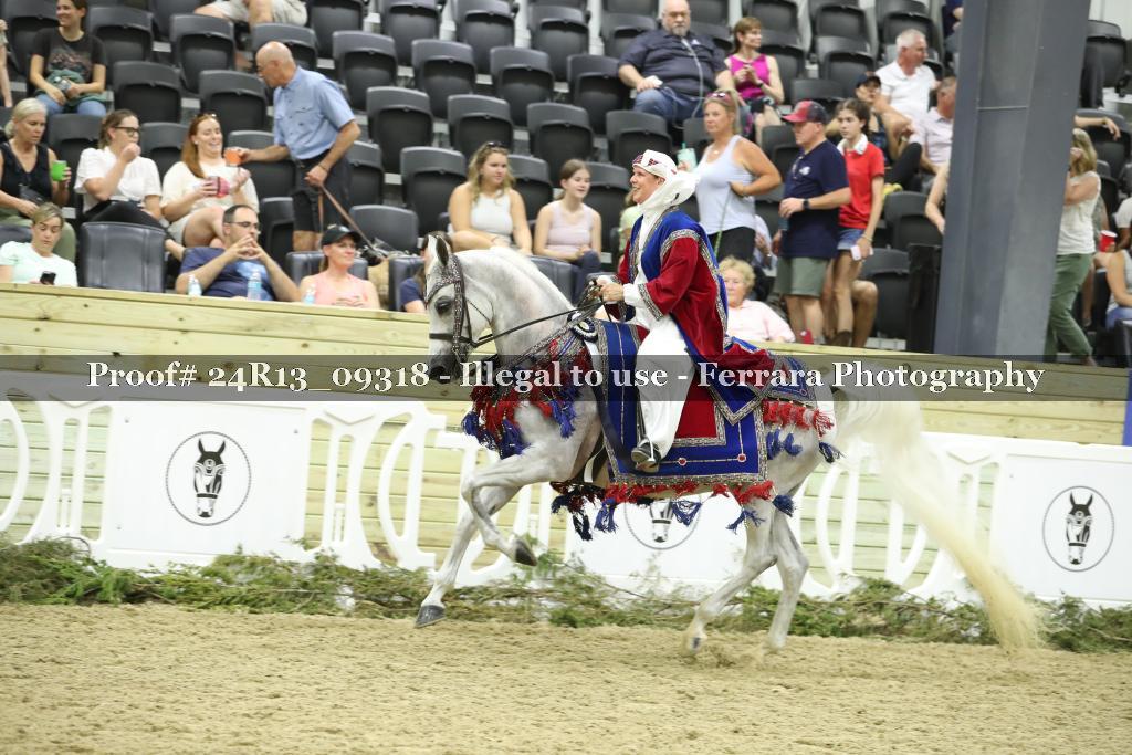 Proof 24R13_09318