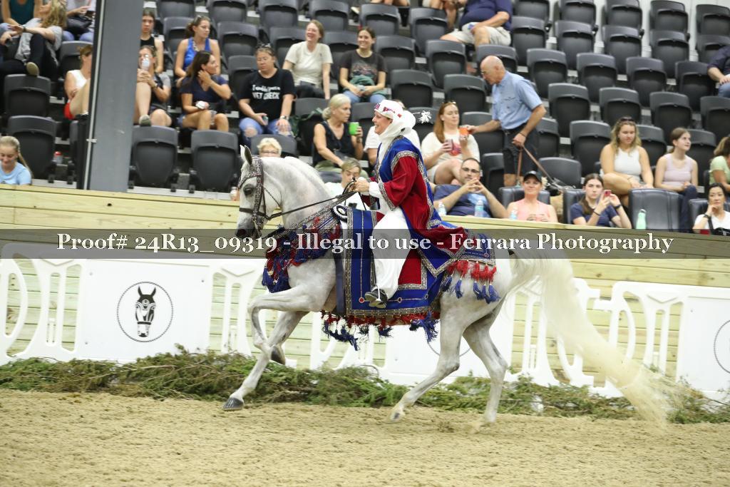 Proof 24R13_09319