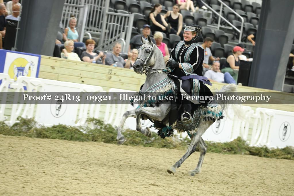 Proof 24R13_09321