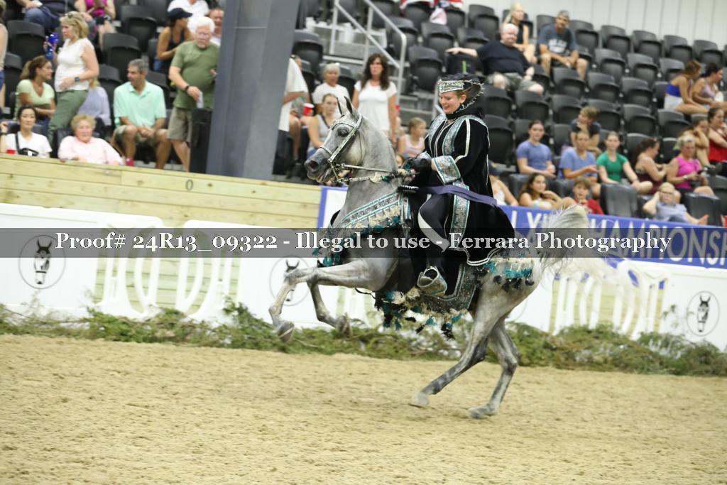 Proof 24R13_09322