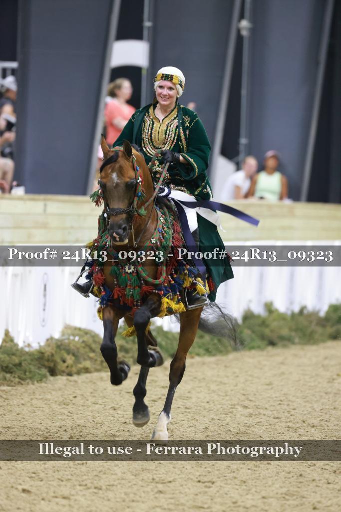Proof 24R13_09323