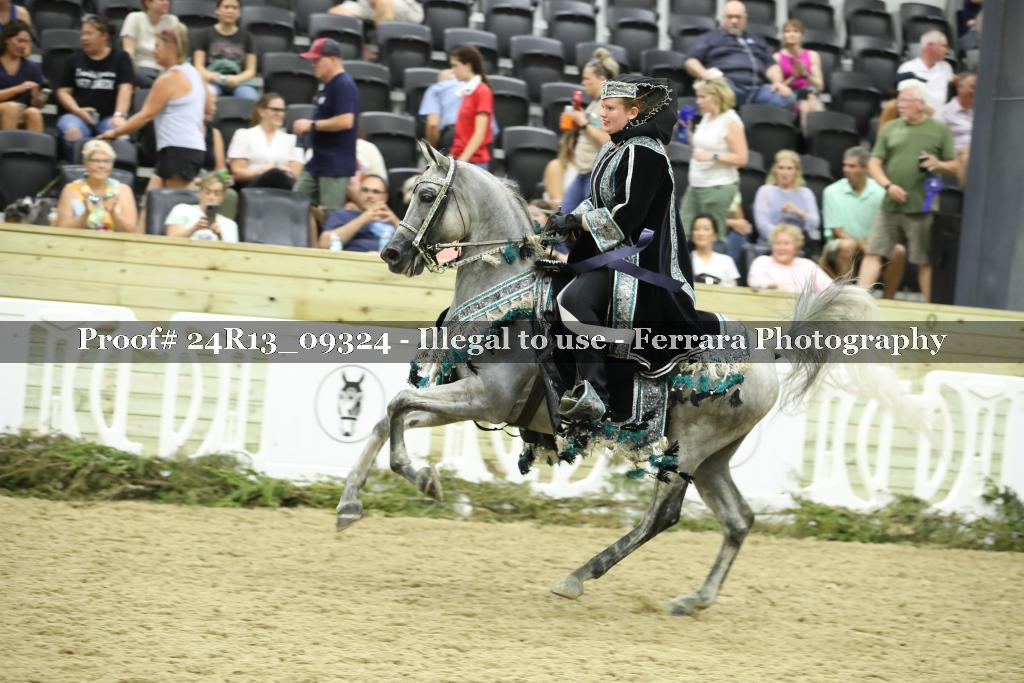 Proof 24R13_09324