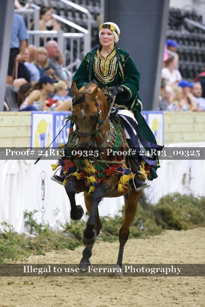 Proof 24R13_09325