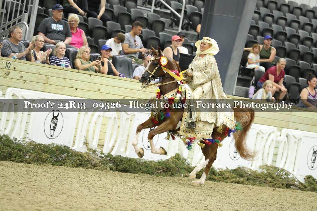 Proof 24R13_09326