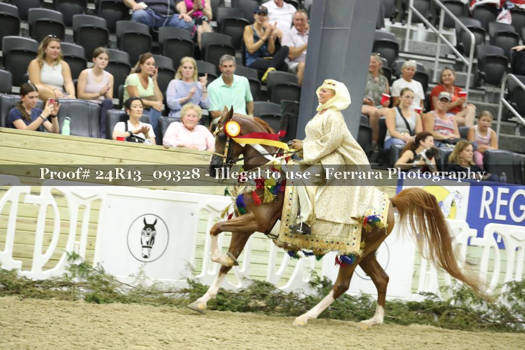 Proof 24R13_09328