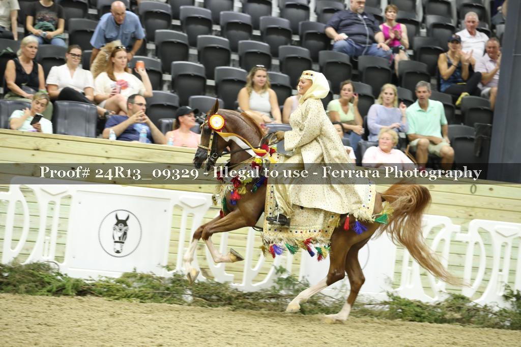 Proof 24R13_09329