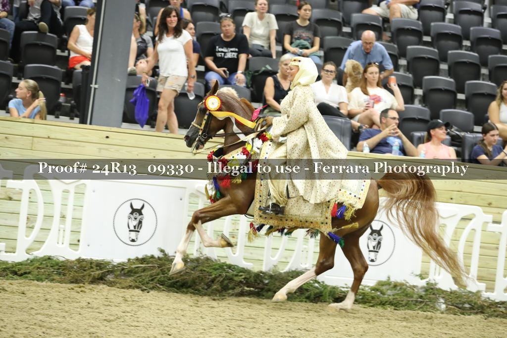 Proof 24R13_09330
