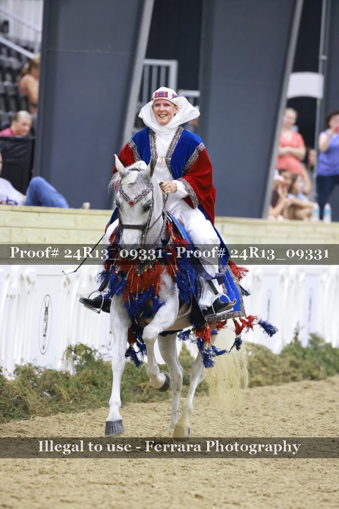 Proof 24R13_09331