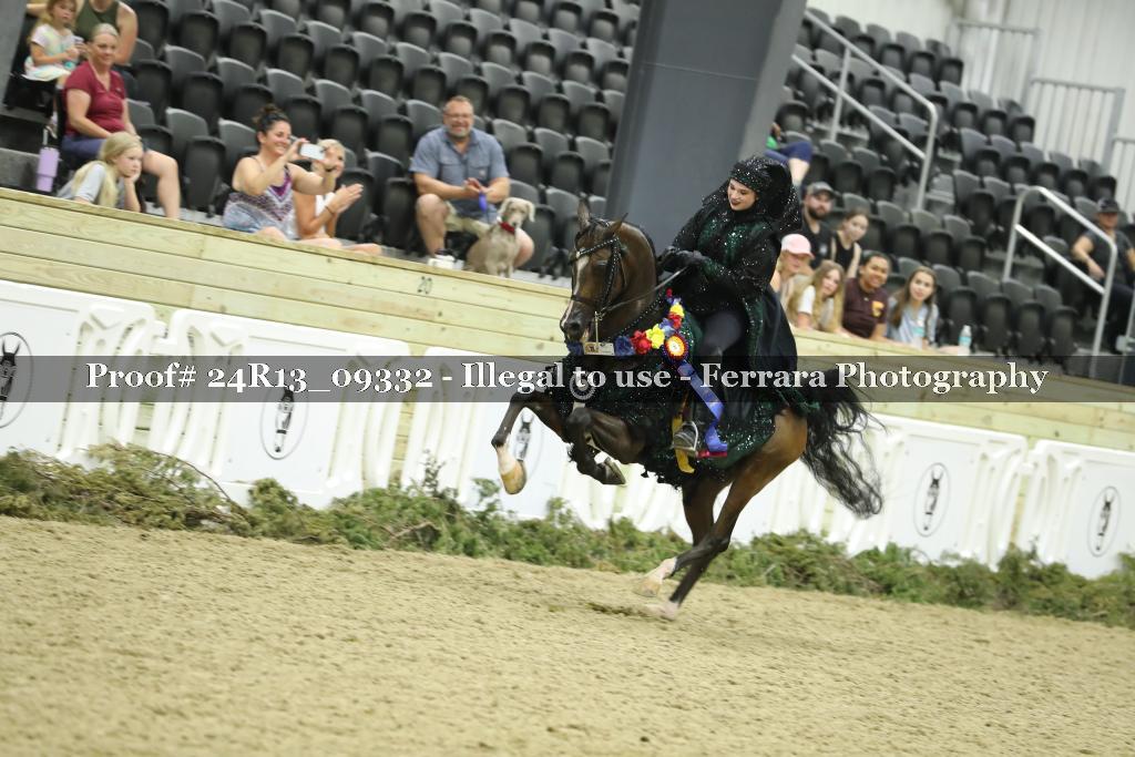 Proof 24R13_09332