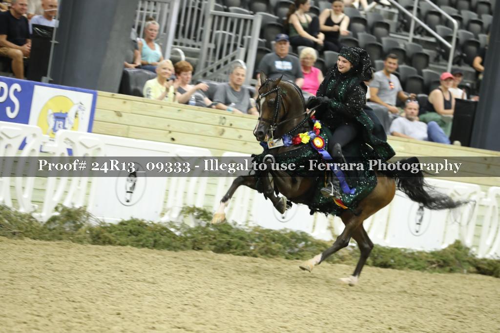 Proof 24R13_09333