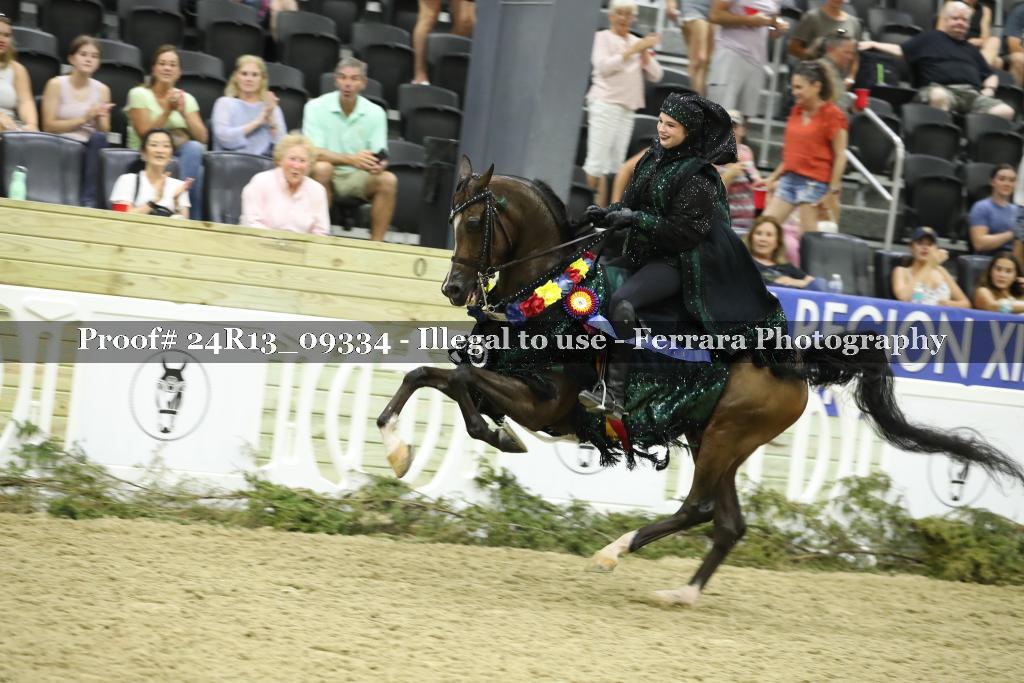 Proof 24R13_09334